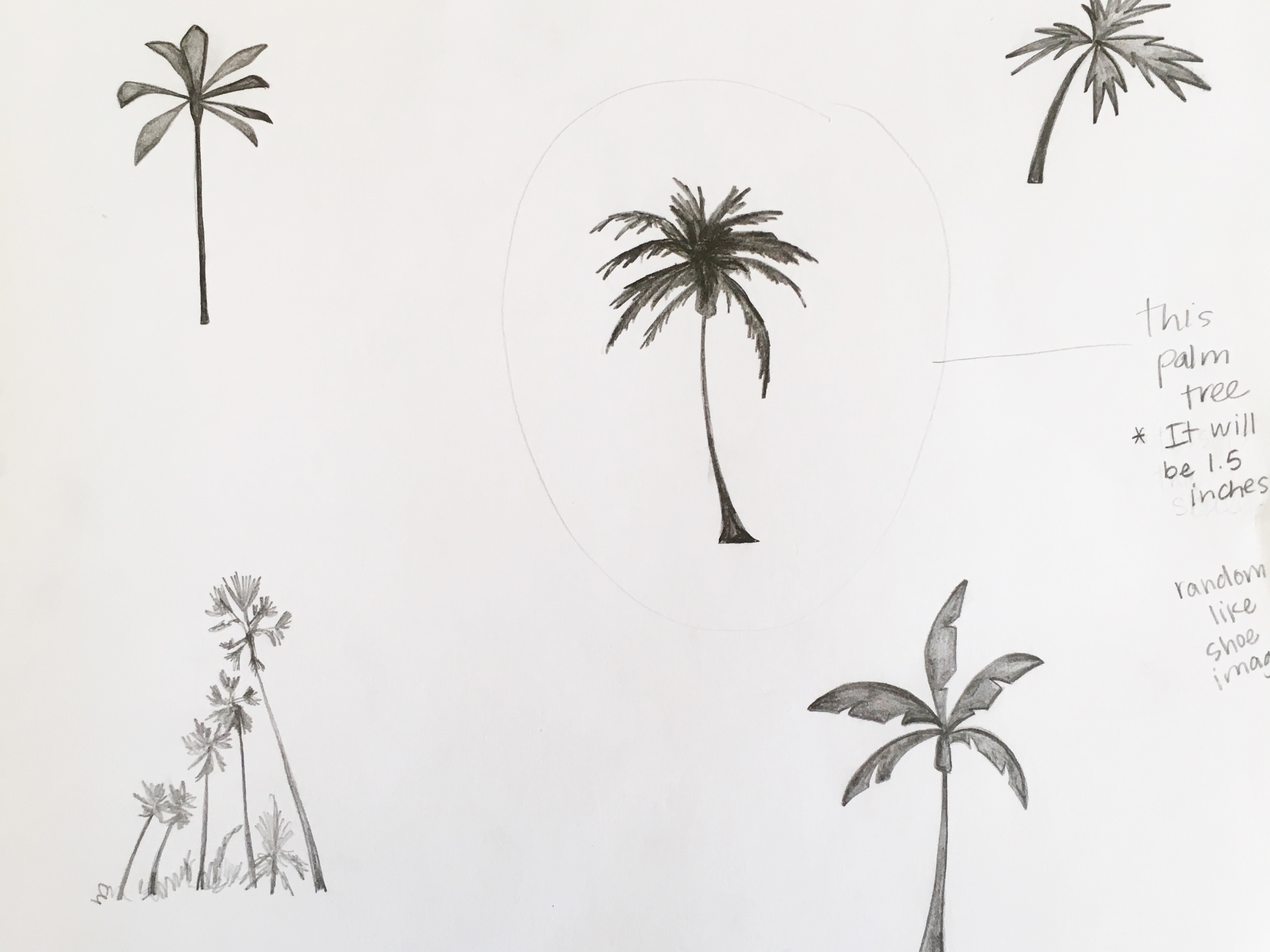 Just Add Sugar Palm Tree Drawing Simple Simon And Company